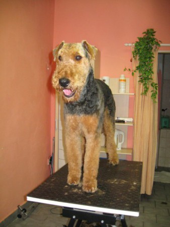 A sluší mi to, co?